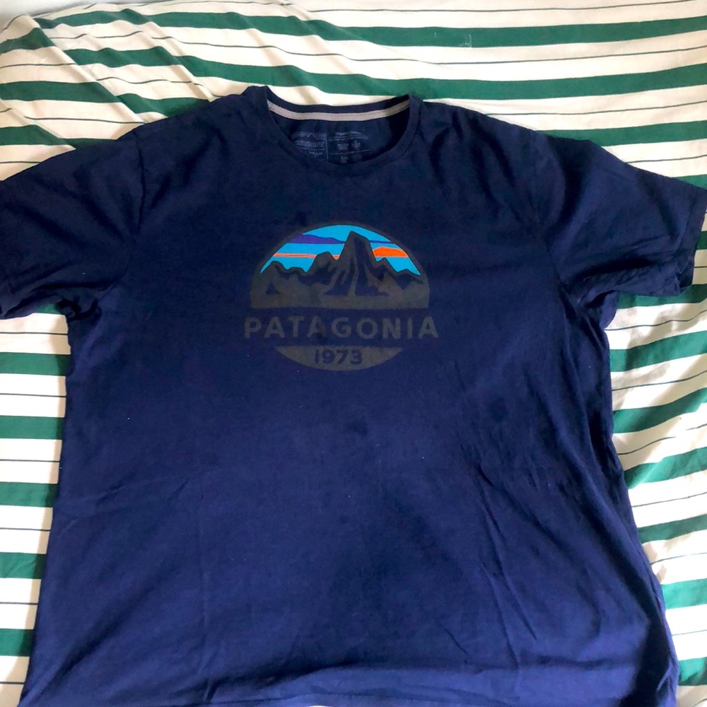 Patagonia blue tee great condition worn once